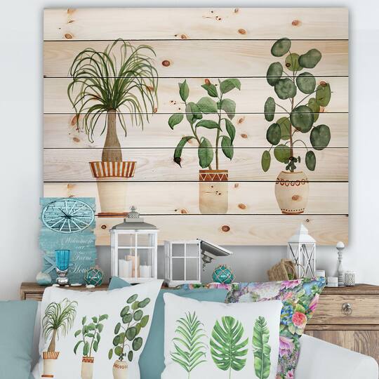 Designart - Trio of House Plants Ponytail Palm and Ficus